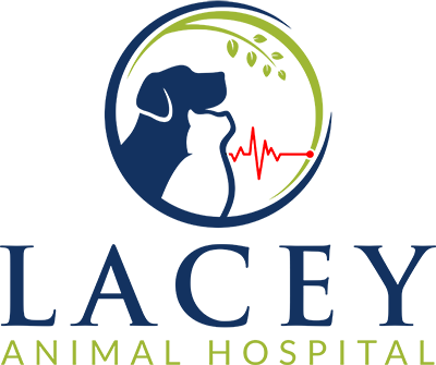 Lacey Animal Hospital Hanford